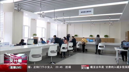 構建藥品互聯網信息服務與監管政務服務新模式